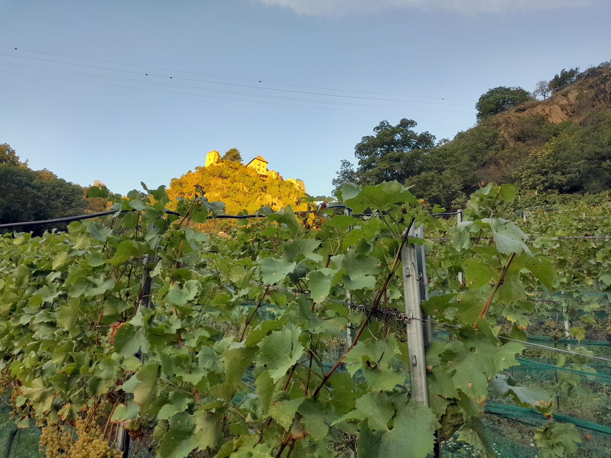 Schlossleiten Schloss